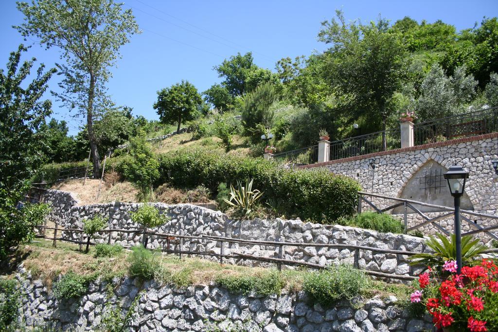 Agriturismo La Grotta Corbara  Екстер'єр фото